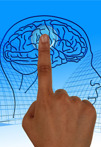 動画プレゼント