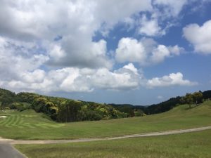 o0480036013648190332